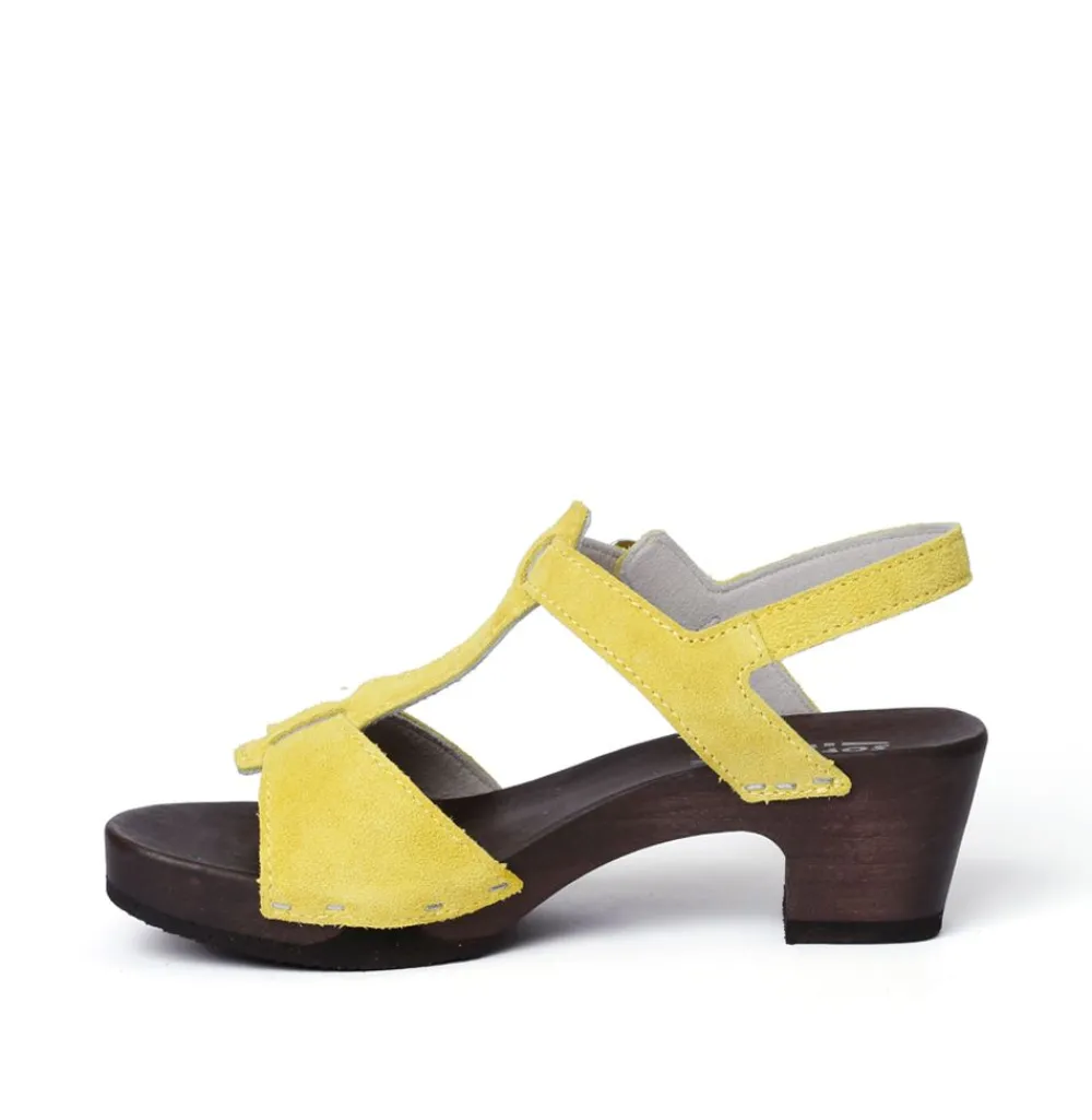 Koko Cashmere Sunlight (Dark)<SOFTCLIX Shop