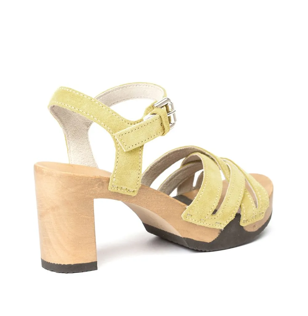 Lanea Cashmere Mustard<SOFTCLIX Shop